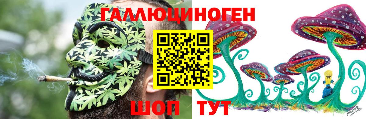 Галлюциногенные грибы Magic Shrooms  Вход с VPN  Югорск  Галлюциногенные грибы Cubensis 